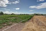 4449 Riata Cir - Photo 41