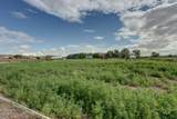 4449 Riata Cir - Photo 47