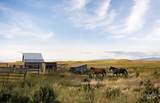 3115 Farm To Market Road - Photo 4