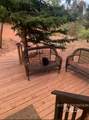1021 Smokey Bear Ln - Photo 11