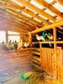 1021 Smokey Bear Ln - Photo 14
