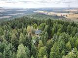 1021 Smokey Bear Ln - Photo 17
