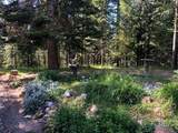 1021 Smokey Bear Ln - Photo 5