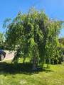 1715 Flamingo Sp 22 - Photo 35