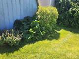 1715 Flamingo Sp 22 - Photo 36