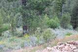 TBD Strawberry Loop - Photo 16