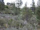 TBD Strawberry Loop - Photo 19