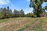 84 Clear Creek Drive - Photo 29