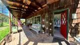 1401 Forks Rd - Photo 4