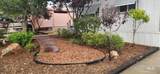 8048 Roe Lane - Photo 16