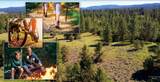 &plusmn;320 acres Big Creek Meadows - Photo 14