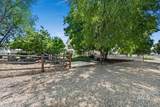 3040 Duane Dr - Photo 49