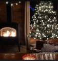 1413 Stone Ln - Photo 3