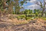 3881 Island Rd - Photo 38