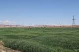 4362 John Day Highway - Photo 21