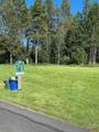 321 Mountain Cove Ct - Photo 12