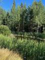 321 Mountain Cove Ct - Photo 15