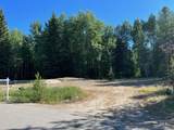 321 Mountain Cove Ct - Photo 25