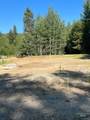 321 Mountain Cove Ct - Photo 26