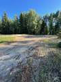 321 Mountain Cove Ct - Photo 28