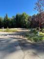321 Mountain Cove Ct - Photo 29