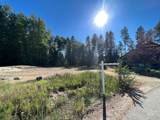 321 Mountain Cove Ct - Photo 33