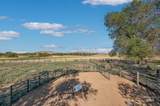 2894 Little Valley Rd - Photo 16