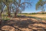 2894 Little Valley Rd - Photo 31