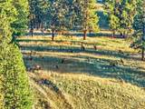 83584 Troy Road - Photo 24