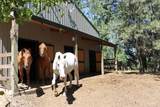 37596 Eberhardt Road - Photo 34