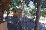37596 Eberhardt Road - Photo 36