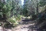 37596 Eberhardt Road - Photo 40