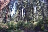 37596 Eberhardt Road - Photo 44