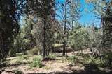 37596 Eberhardt Road - Photo 46