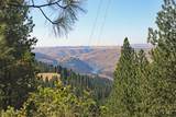 37596 Eberhardt Road - Photo 48
