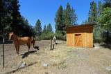 37596 Eberhardt Road - Photo 5