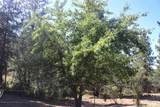 37596 Eberhardt Road - Photo 6