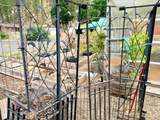 209 Court Street - Photo 22