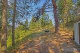 40936 Bobcat Lane - Photo 35