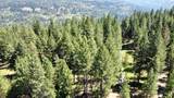 208 Woodland Meadows - Photo 12