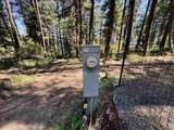 208 Woodland Meadows - Photo 35
