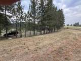 733 Pleasant Valley Road - Photo 33