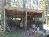 175 Angus - Photo 43
