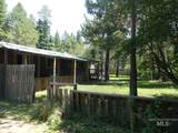 175 Angus - Photo 47