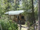 175 Angus - Photo 48