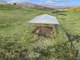 11375 Timber Butte Rd - Photo 46