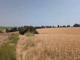 37+/- AC TBD Boller Rd. - Photo 11