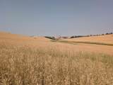 37+/- AC TBD Boller Rd. - Photo 12