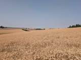 37+/- AC TBD Boller Rd. - Photo 13