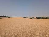 37+/- AC TBD Boller Rd. - Photo 14